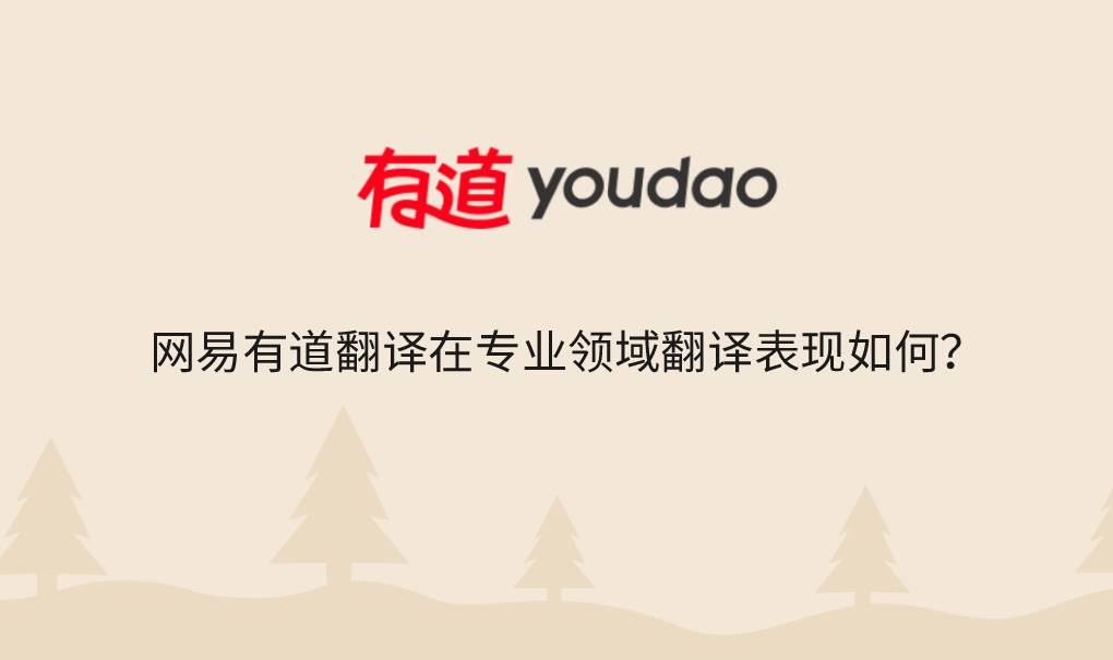 网易有道翻译在专业领域翻译表现如何？