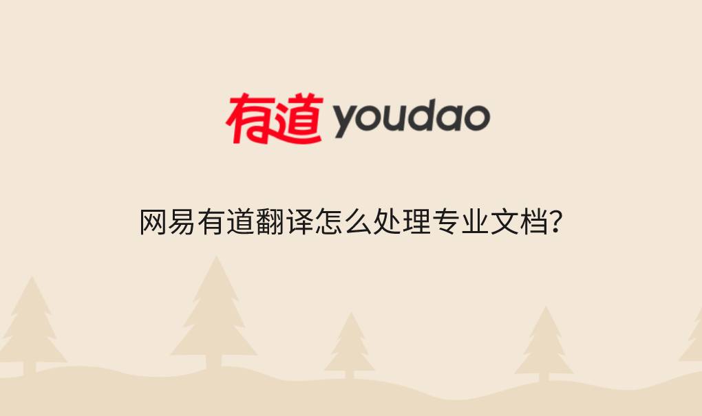 网易有道翻译怎么处理专业文档？