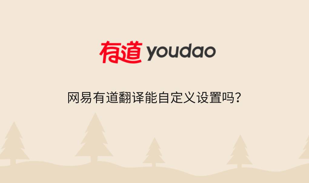 网易有道翻译能自定义设置吗？