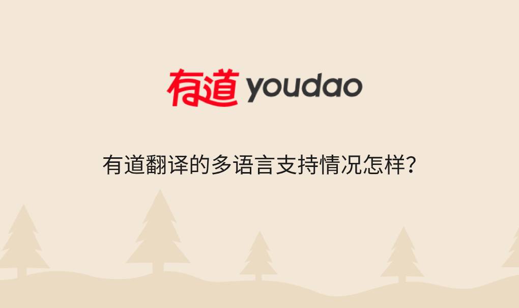 有道翻译的多语言支持情况怎样？