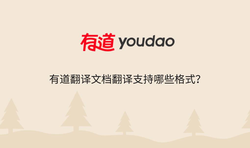 有道翻译文档翻译支持哪些格式？