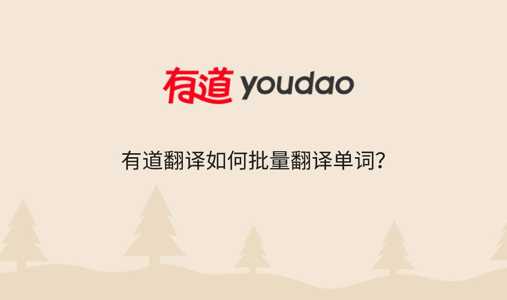有道翻译如何批量翻译单词？